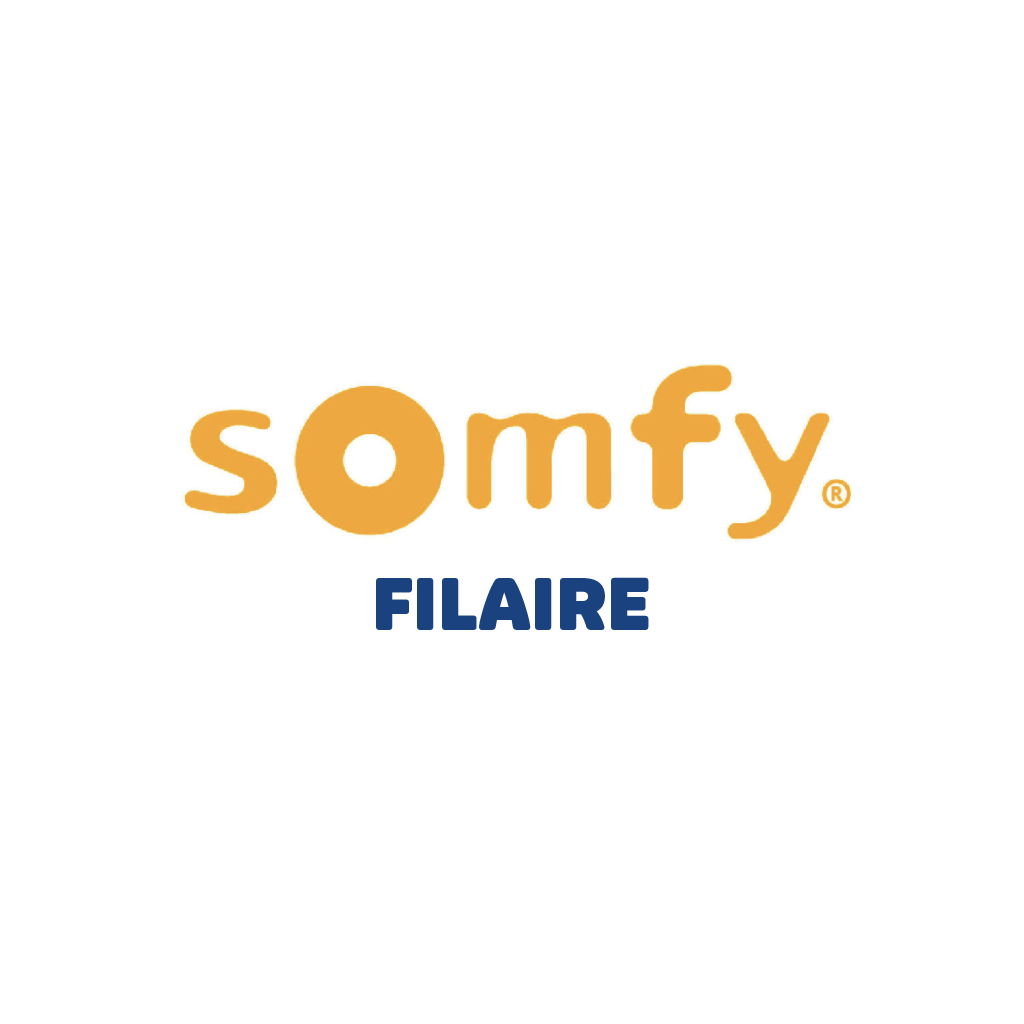 RMV - Somfy Filaire
