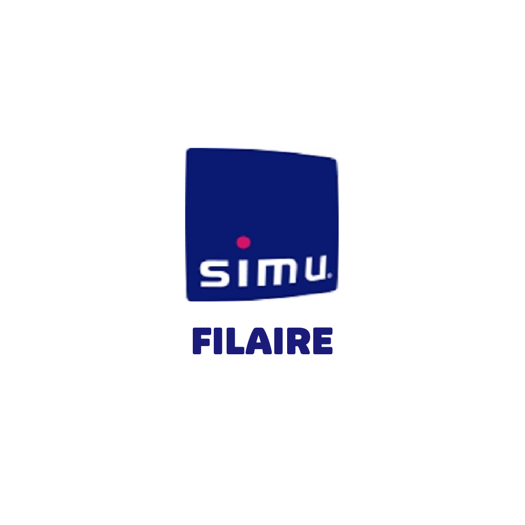 RMV - Visuel Simu Filaire